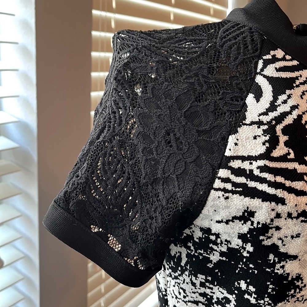 Super fitted sexy dress. See through black lace on sleeves and around waist area - Picture 4 of 12